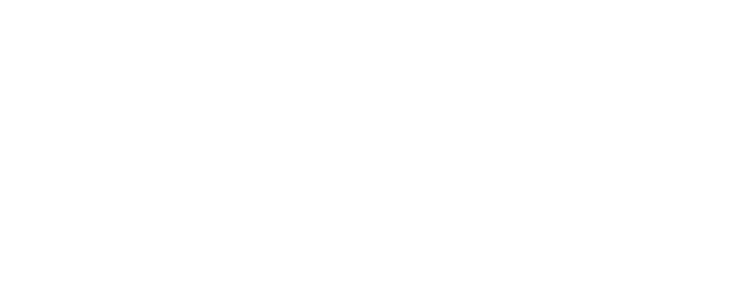Logo Chaco Plus